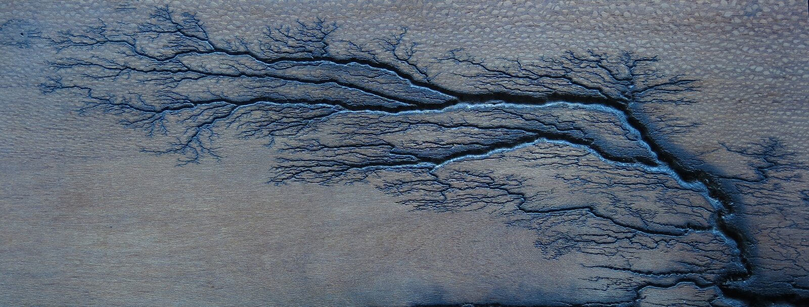 Lichtenberg branching figure in <a href='https://en.wikipedia.org/wiki/Leopardwood'>leopardwood</a>