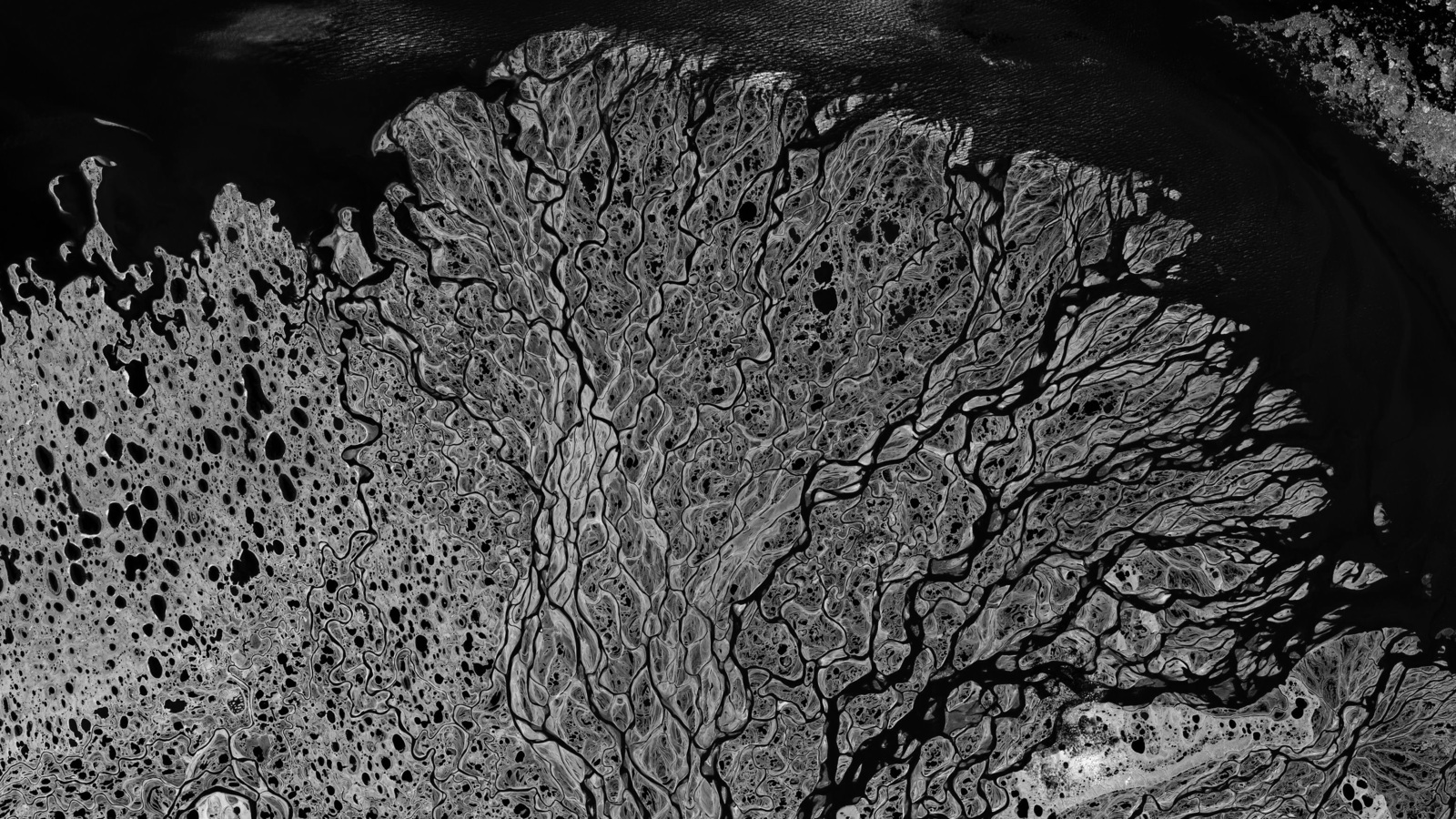 Lena River Delta
